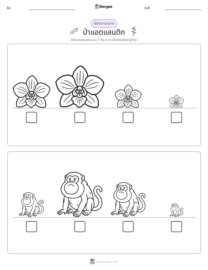ลำดับขนาด