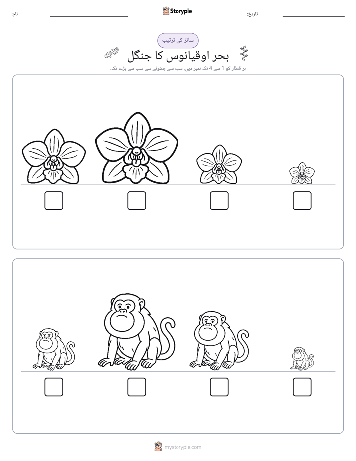 سائز کی ترتیب