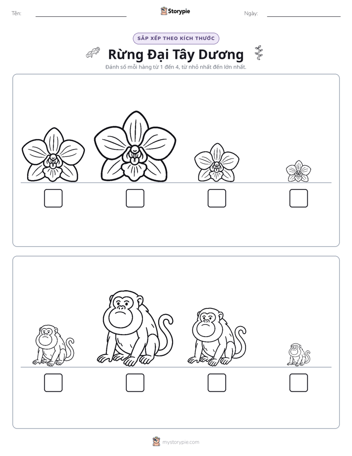 Thứ Tự Kích Thước