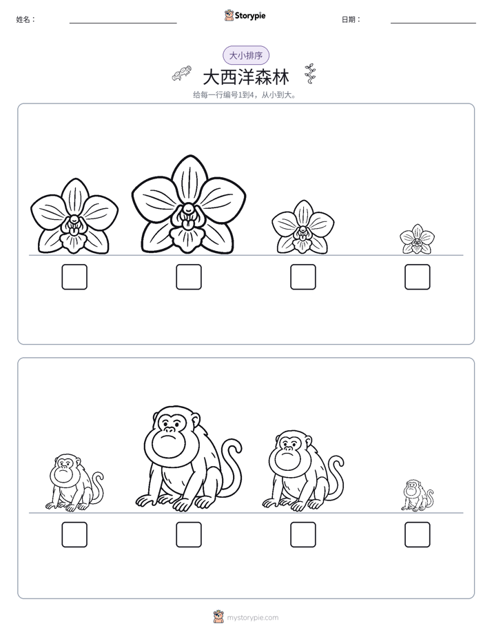 大小排序