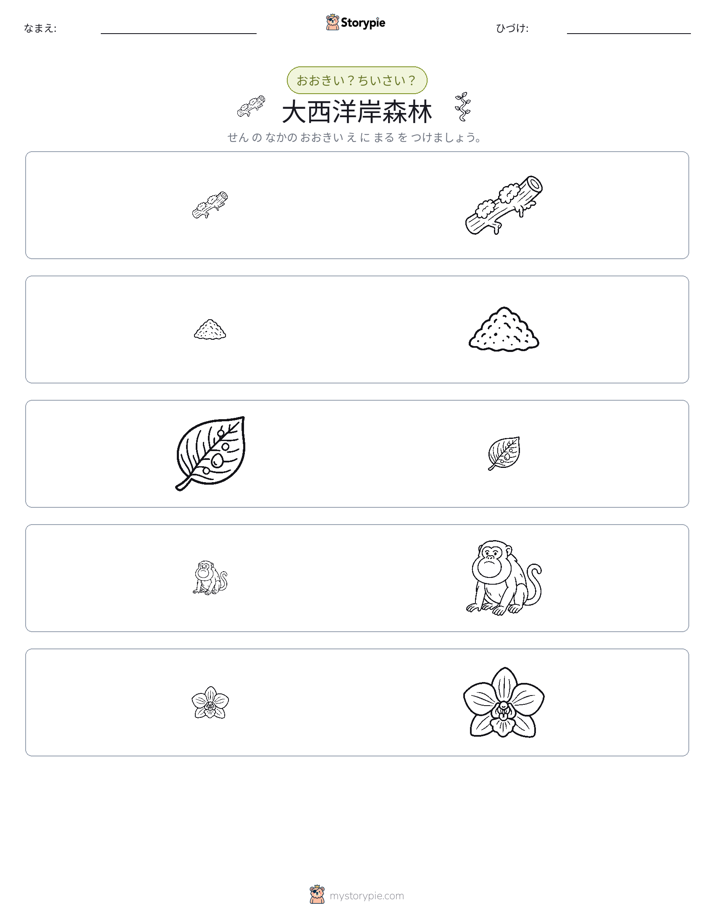 ソーティング