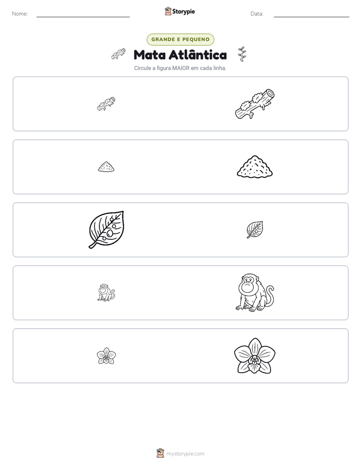 Classificação