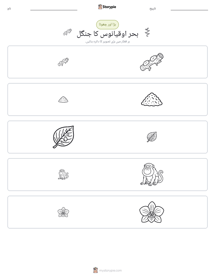 ترتیب دینا