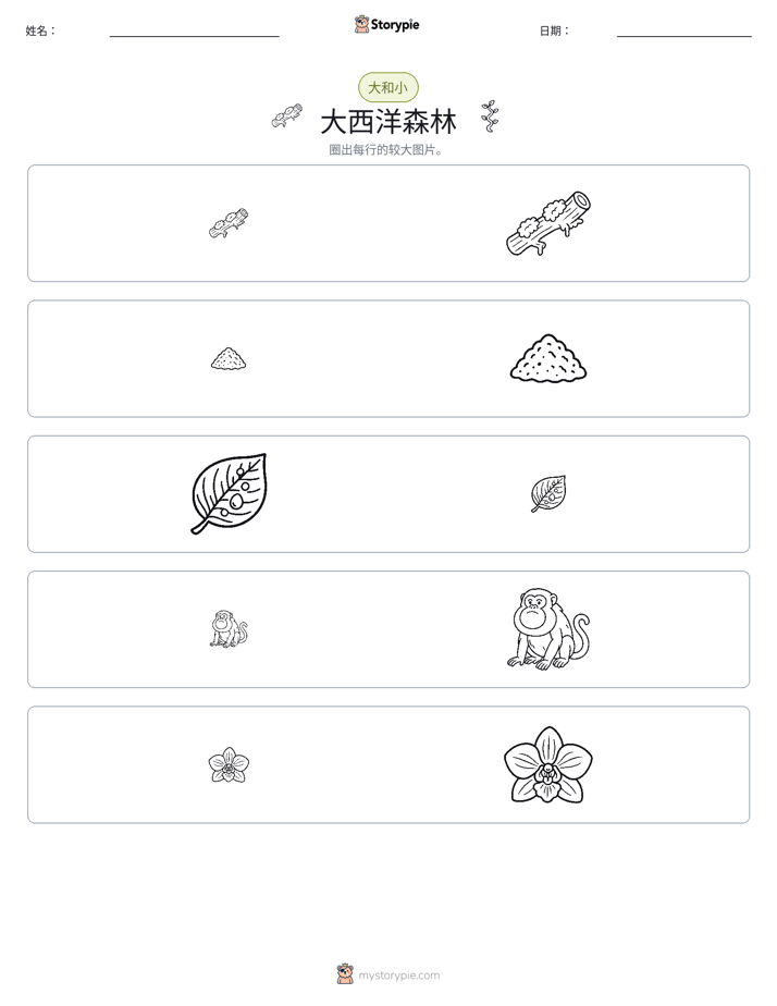 分类