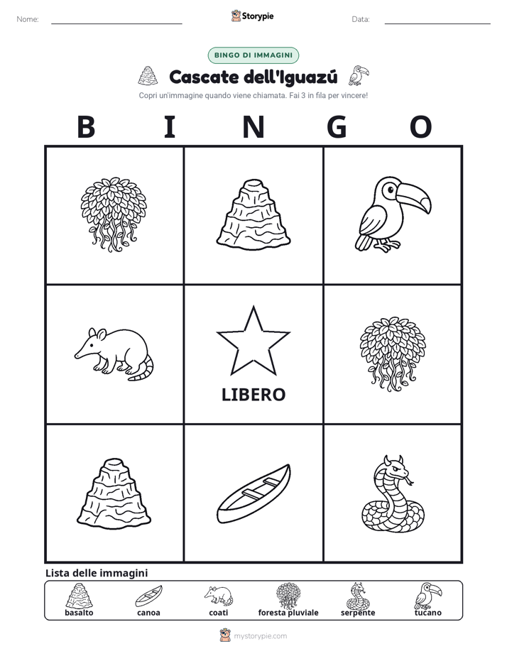 Bingo delle Immagini