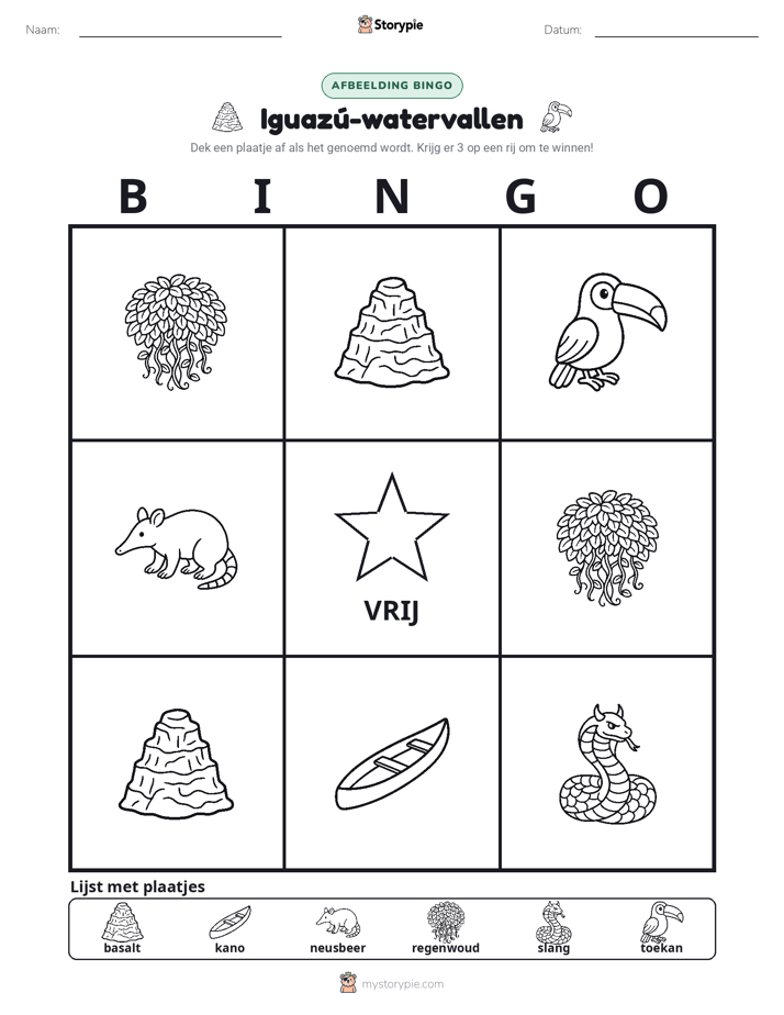 Afbeelding Bingo