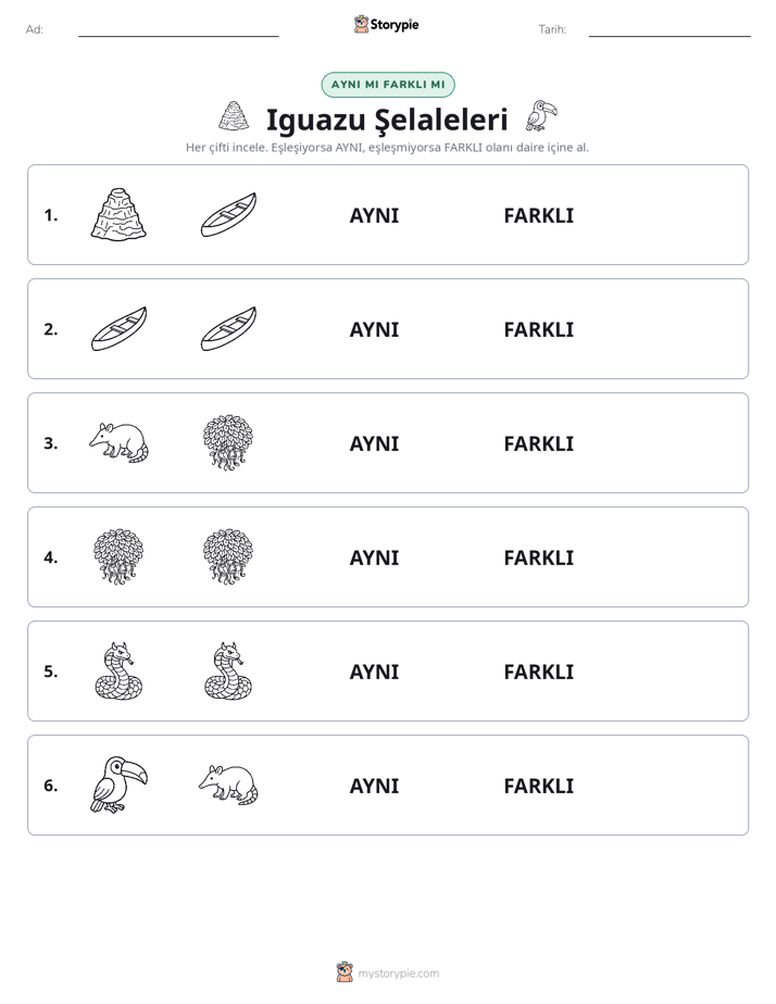 Aynı mı Farklı mı