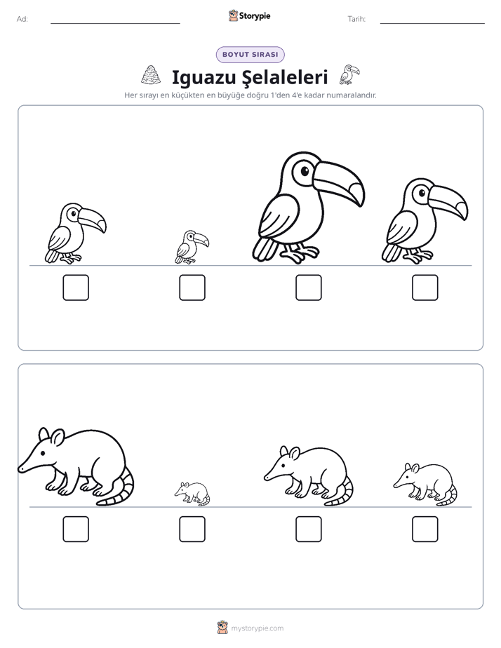 Boy Sıralaması