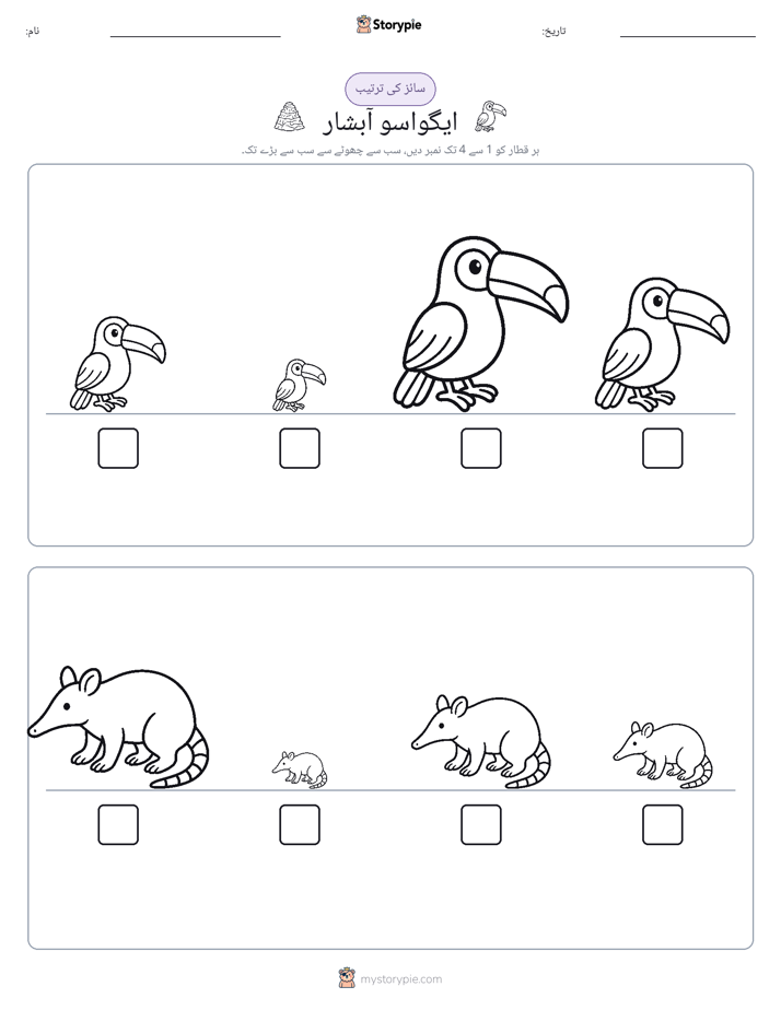 سائز کی ترتیب