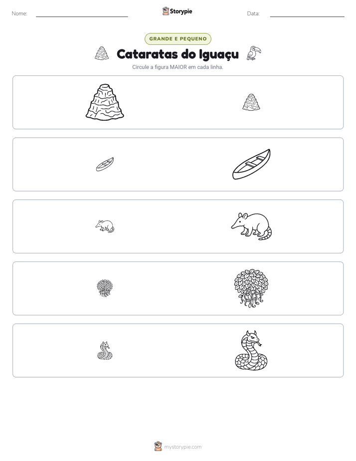 Classificação