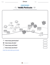 Valdés Peninsula printable worksheet preview