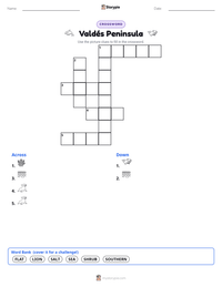 Valdés Peninsula printable worksheet preview