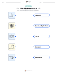 Valdés Peninsula printable worksheet preview