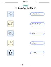 Xem trước tài liệu in sẵn Bán đảo Valdés