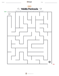 Valdés Peninsula printable worksheet preview