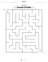 Anteprima della scheda stampabile di Penisola di Valdés