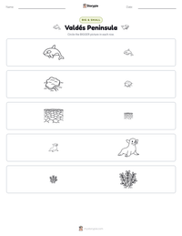 Valdés Peninsula printable worksheet preview