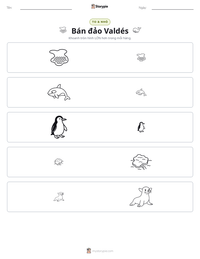 Xem trước tài liệu in sẵn Bán đảo Valdés