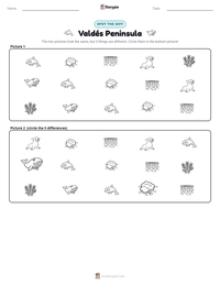 Valdés Peninsula printable worksheet preview