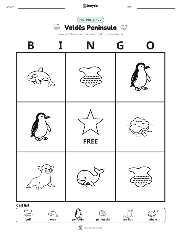 Picture Bingo