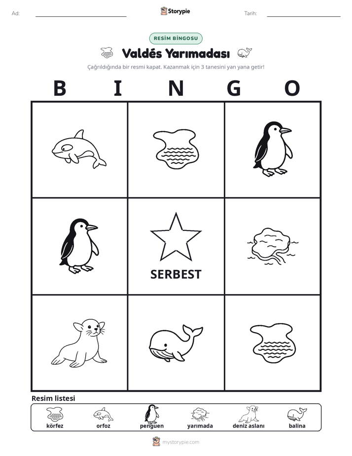 Resim Bingo