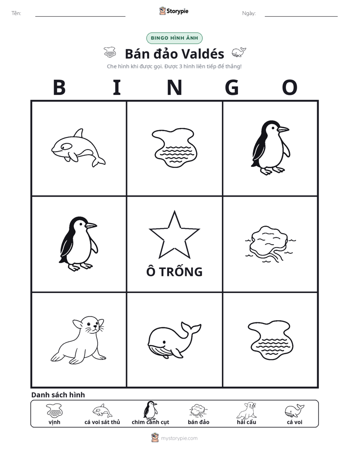 Bingo Hình Ảnh