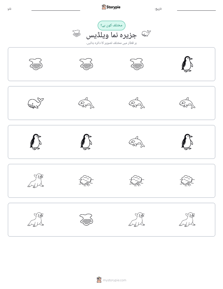 عجیب ایک