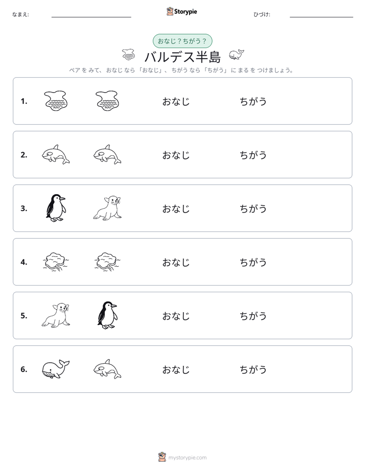 同じか違うか