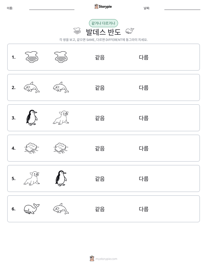 같은 것 또는 다른 것