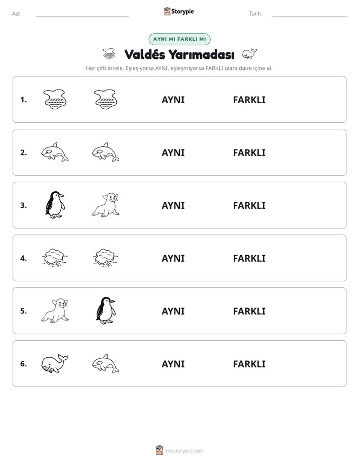Aynı mı Farklı mı