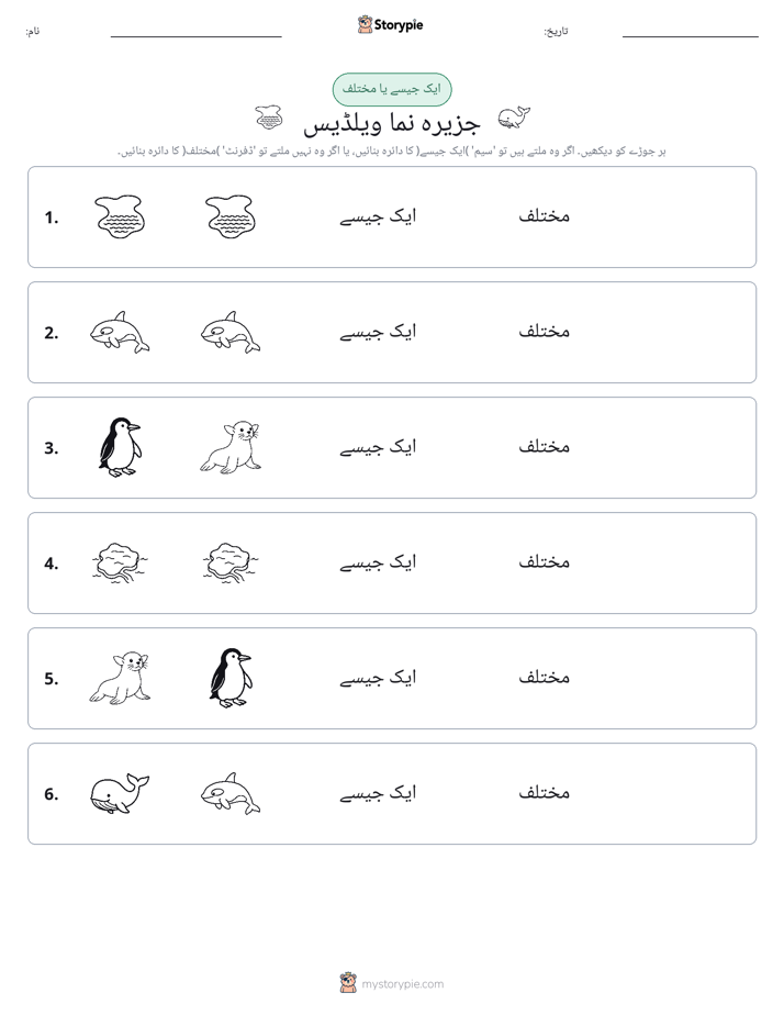 ایک جیسا یا مختلف