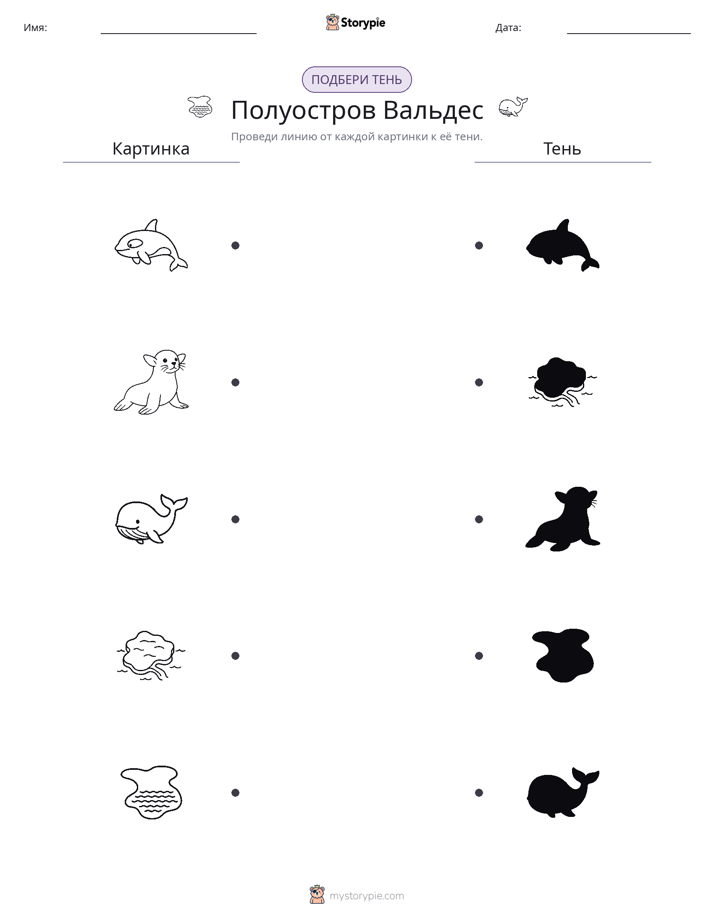 Сопоставление теней