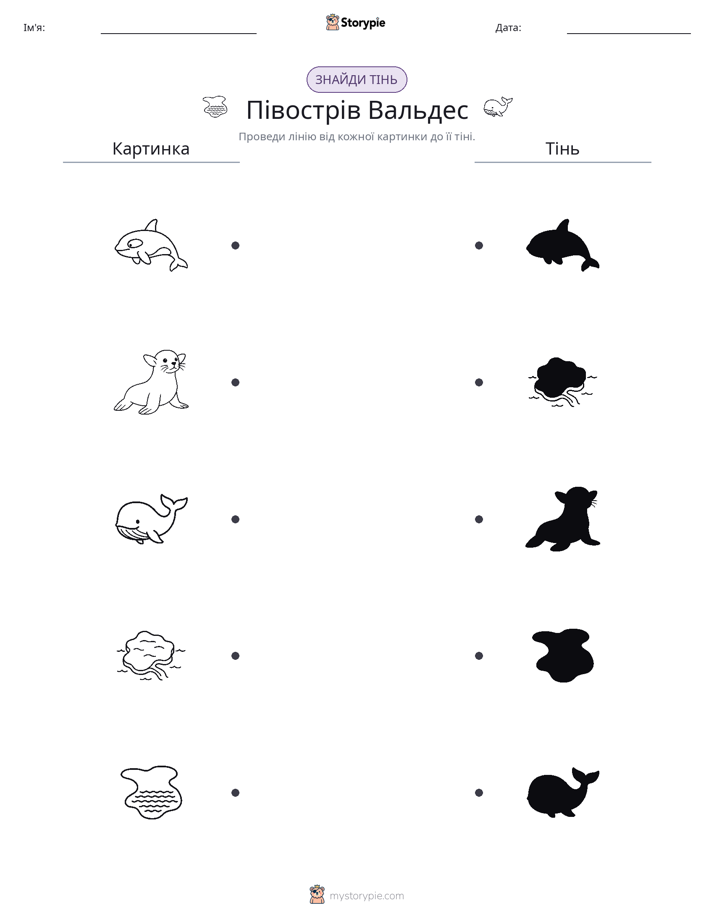 Тіньове Відповідність
