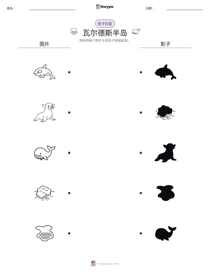 影子匹配