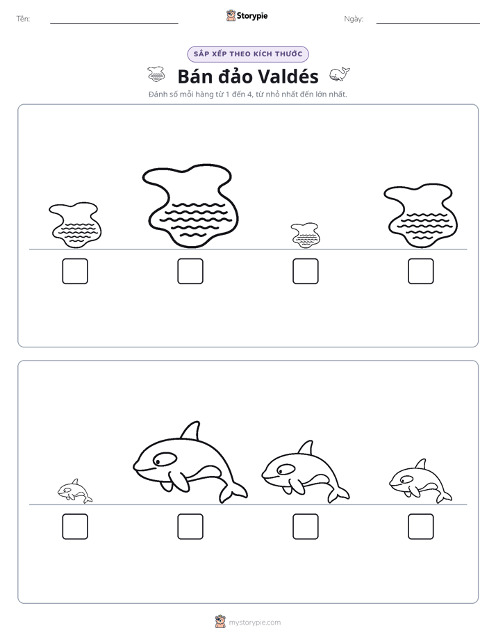 Thứ Tự Kích Thước