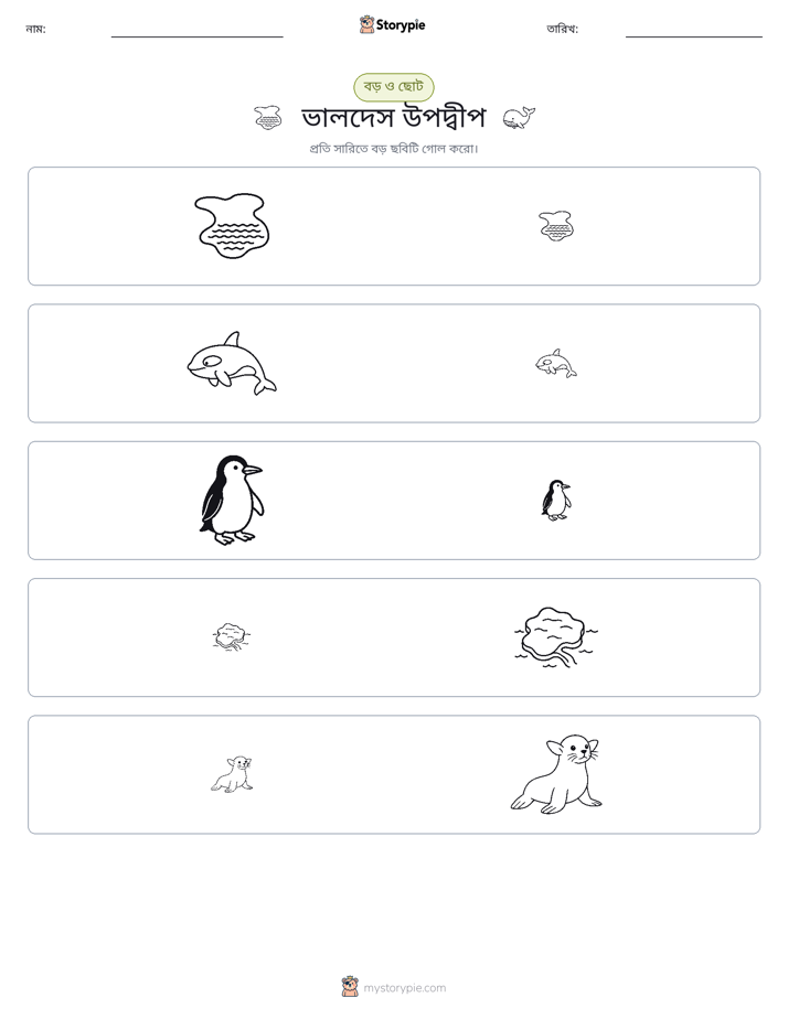 সাজানো