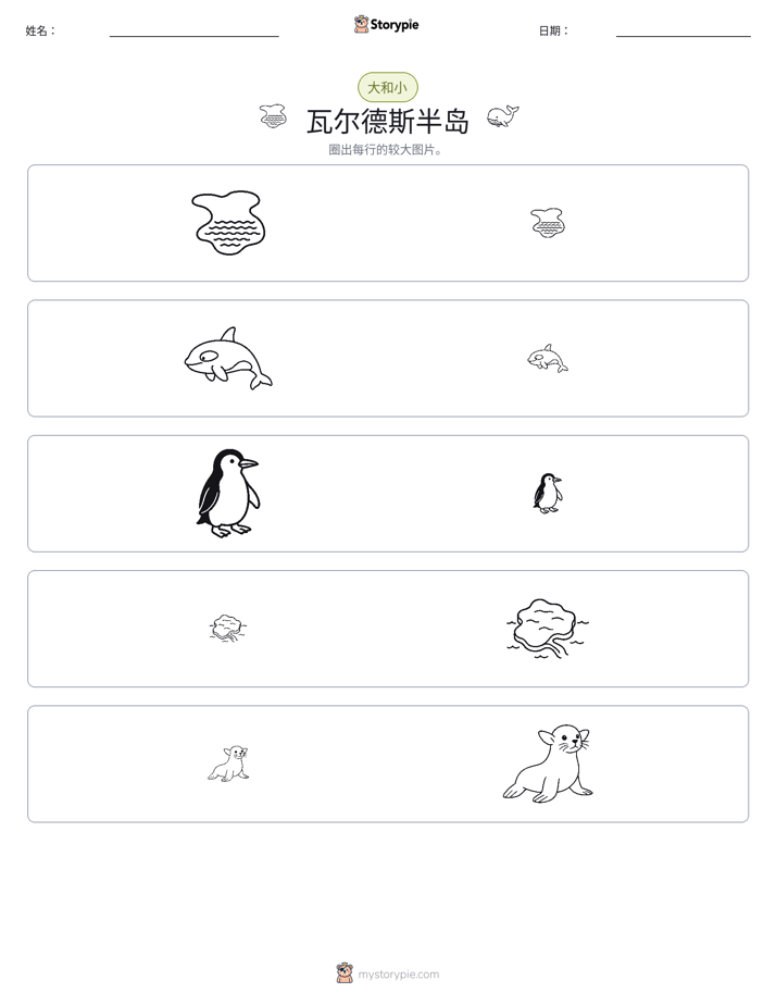 分类