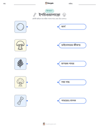 ইশচিগুয়ালাস্তো মুদ্রণযোগ্য কাজের পৃষ্ঠার প্রিভিউ