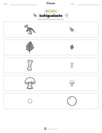 Ischigualasto printable worksheet preview