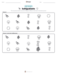 Ischigualasto printable worksheet preview