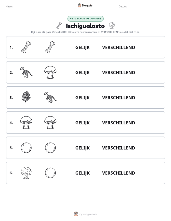 Zelfde of Verschillend