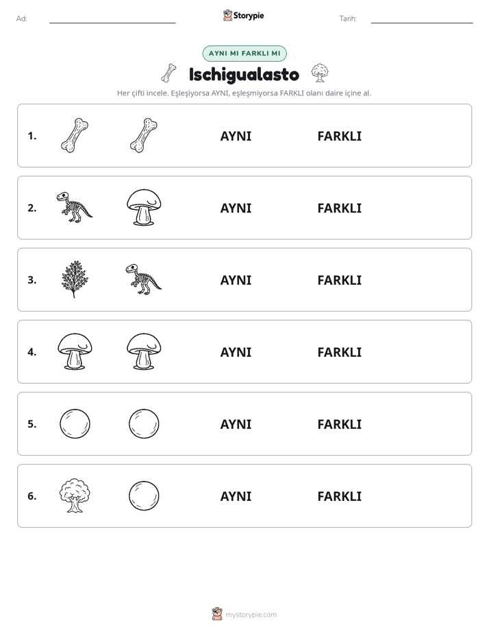 Aynı mı Farklı mı