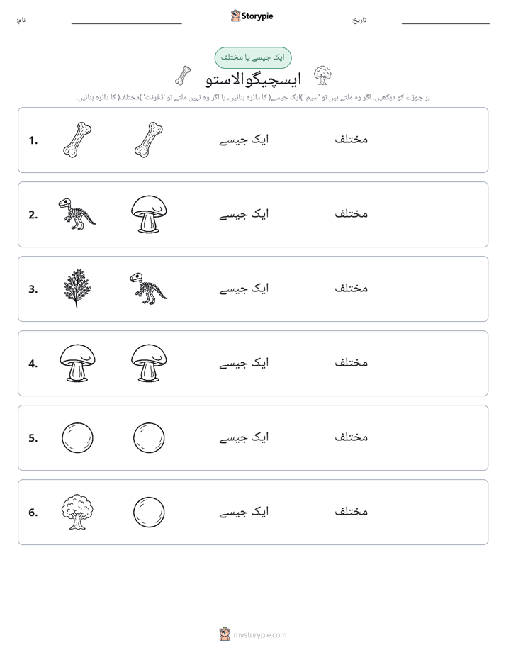 ایک جیسا یا مختلف
