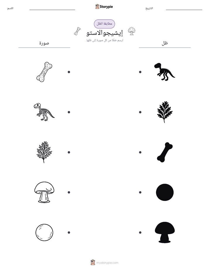 مطابقة الظل
