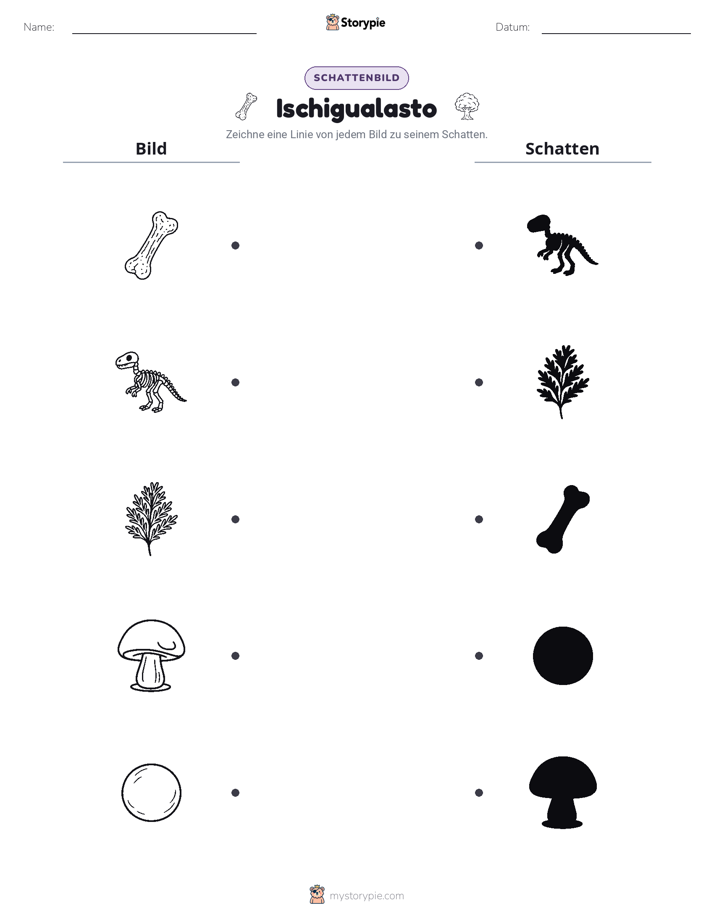 Schattenmatch