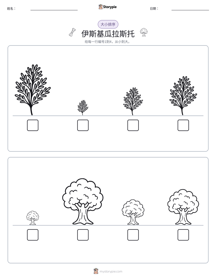 大小排序