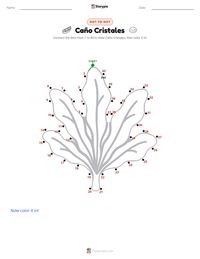 Caño Cristales printable worksheet preview