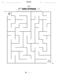 Caño Cristales printable worksheet preview