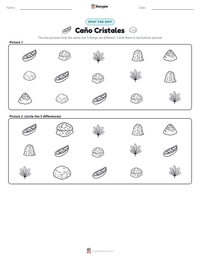 Caño Cristales printable worksheet preview
