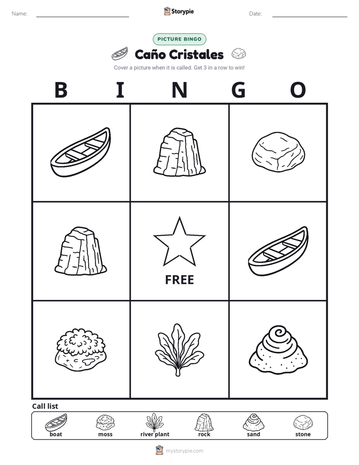 Picture Bingo